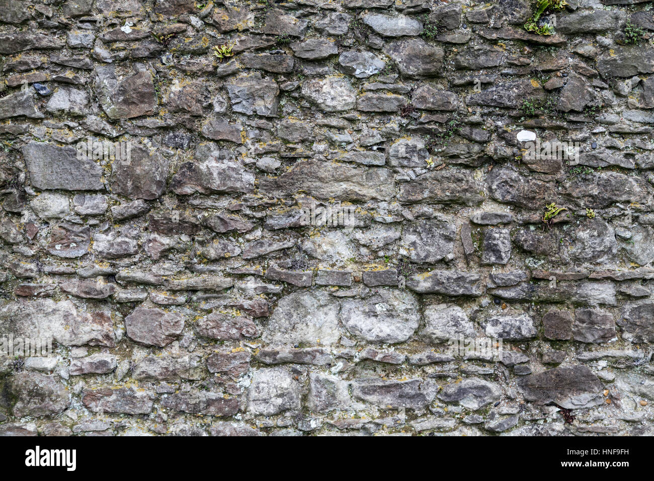 Nahaufnahme von Mauerwerk in Hadleigh Castle Stockfoto