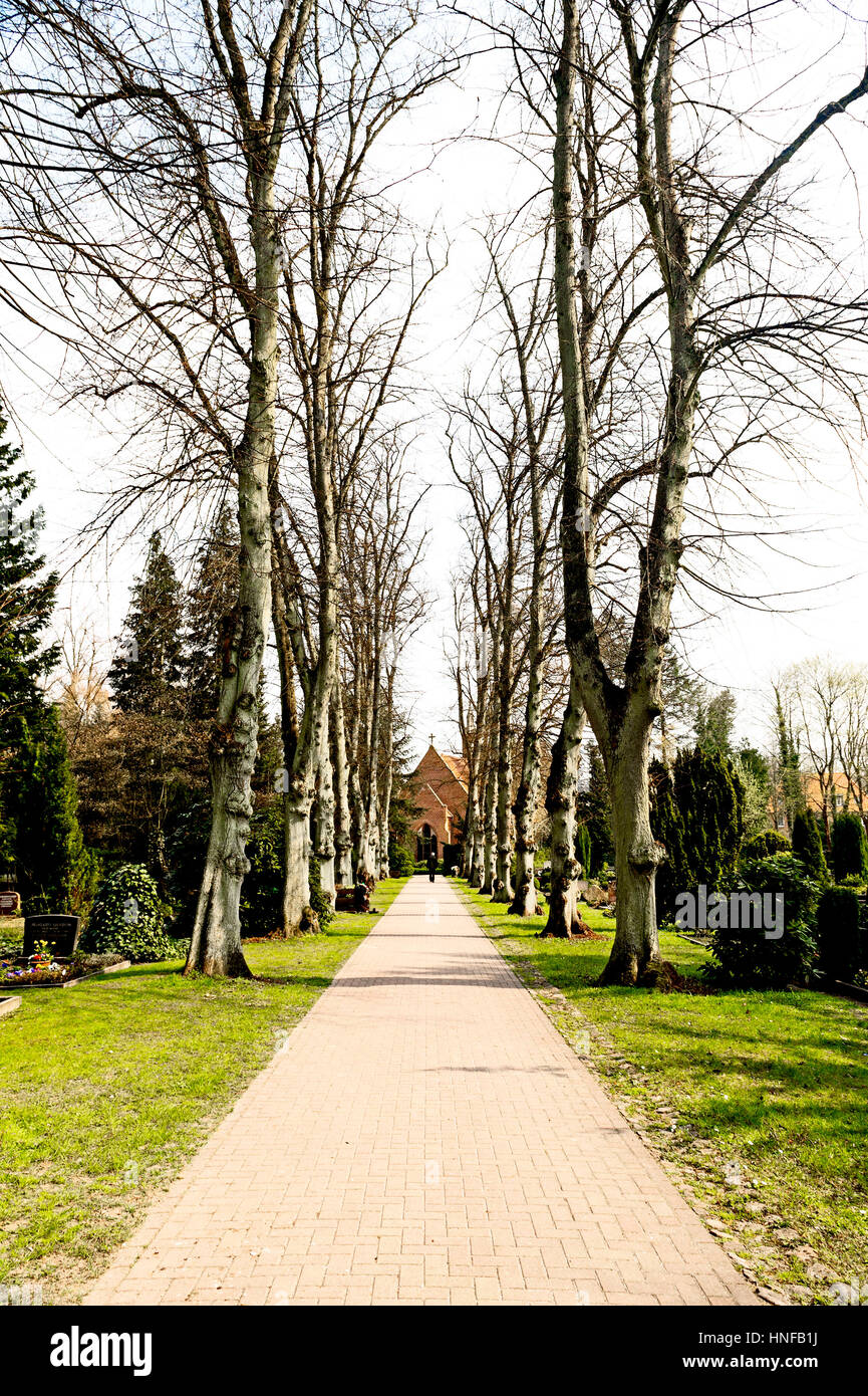 Baumbestandener Weg Auf Einem Friedhof; Gasse auf einem Friedhof Stockfoto