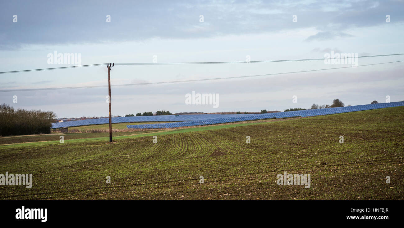 Ein Feld von Solarzellen zur Stromerzeugung in Cambridgeshire, England, UK Stockfoto