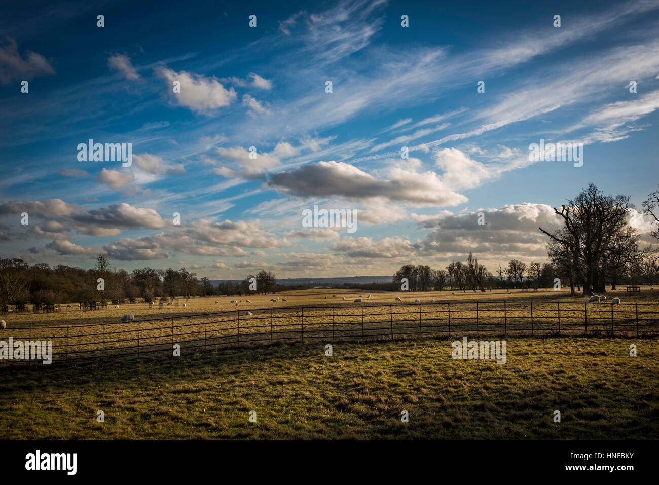Das weitläufige Gelände von dem National Trust Wimpole Estate in der Nähe von Cambridge, England, UK Stockfoto