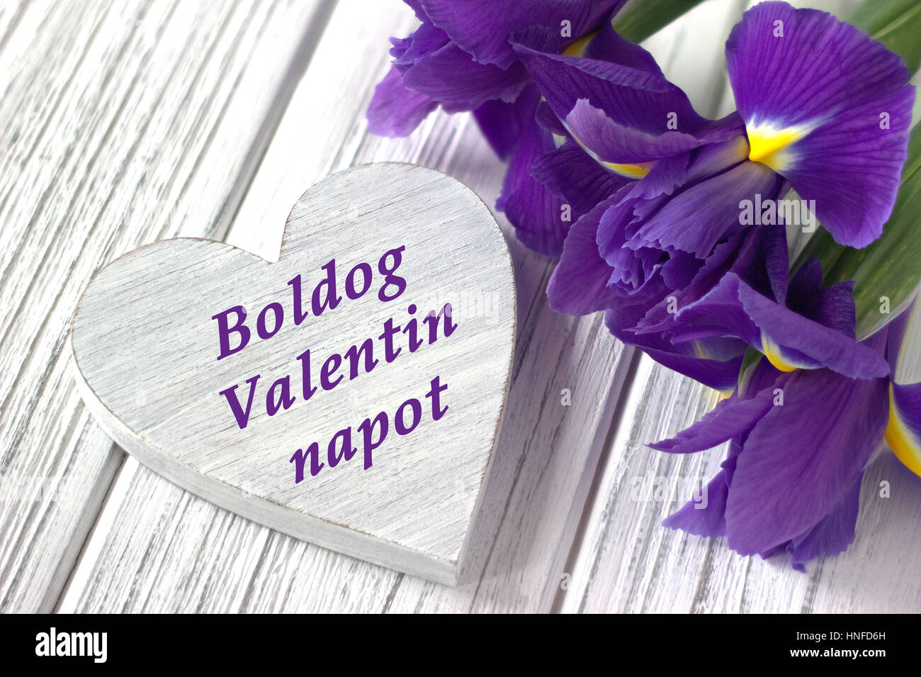 Stillleben mit Herz Zeichen Iris Blumen auf weißem Hintergrund aus Holz. Hochzeit. Valentinstag-Grußkarte mit Text Happy Valentines Day in Finanzsituation Stockfoto