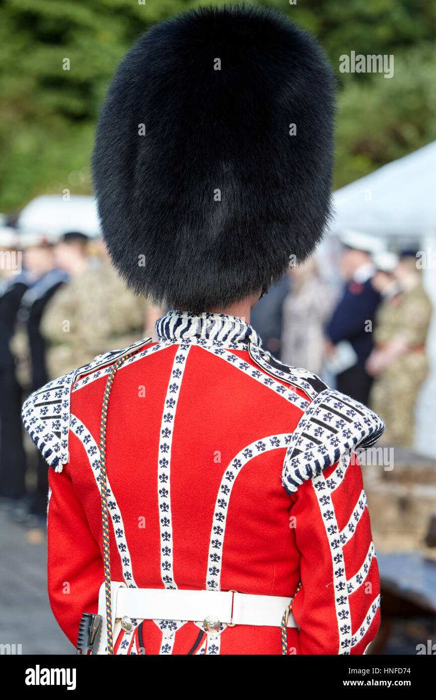 Irish Guards Gardist in Full Dress uniform mit Bärenfell Hut von hinten Nordirland Stockfoto