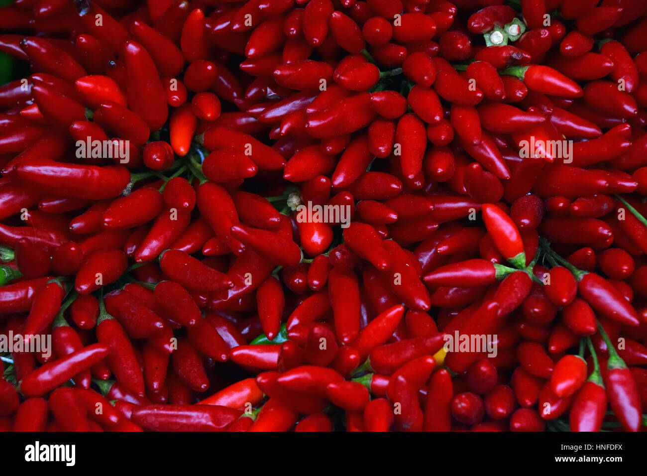Rot-heiße Paprika Trauben an Bauern Markt Stall Einzelhandel, Hintergrundmuster, erhöhten Draufsicht hautnah Stockfoto
