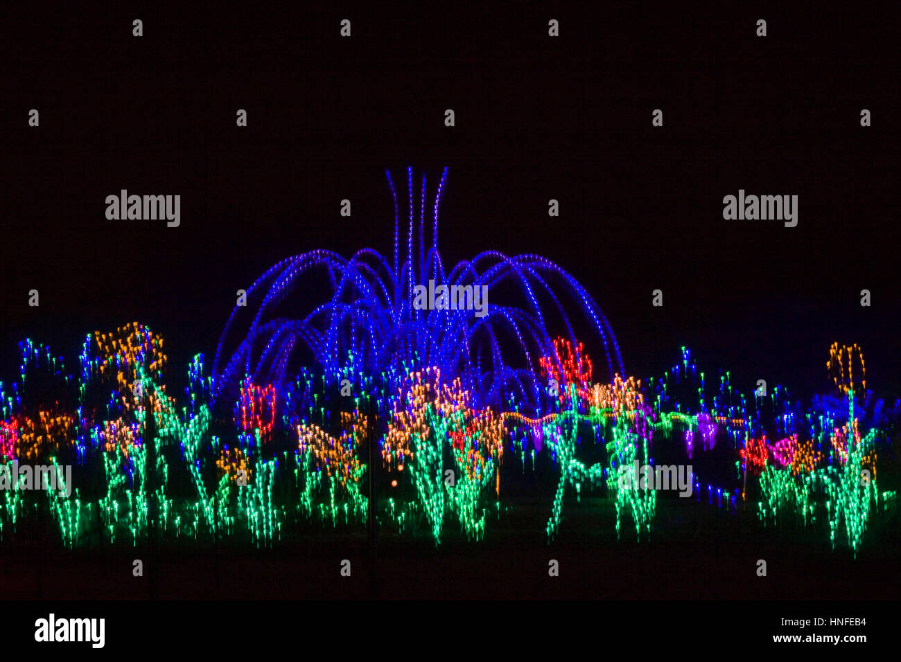 Brunnen am Meadowlark Botanischer Garten - Winterwanderung der Lichter. Stockfoto