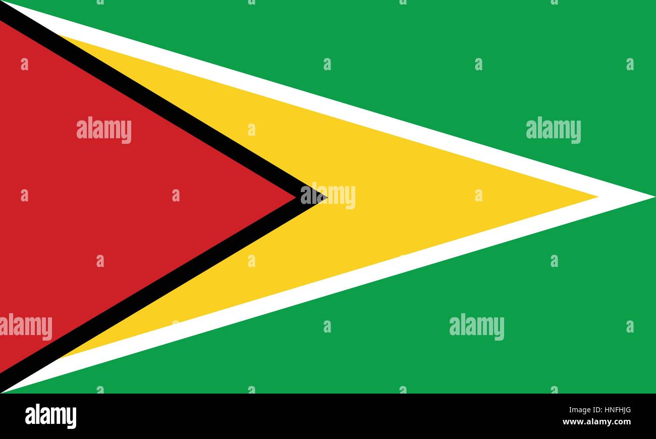 Offizielle Vektor Flagge von Guyana. Kooperative Republik Guyana. Stock Vektor