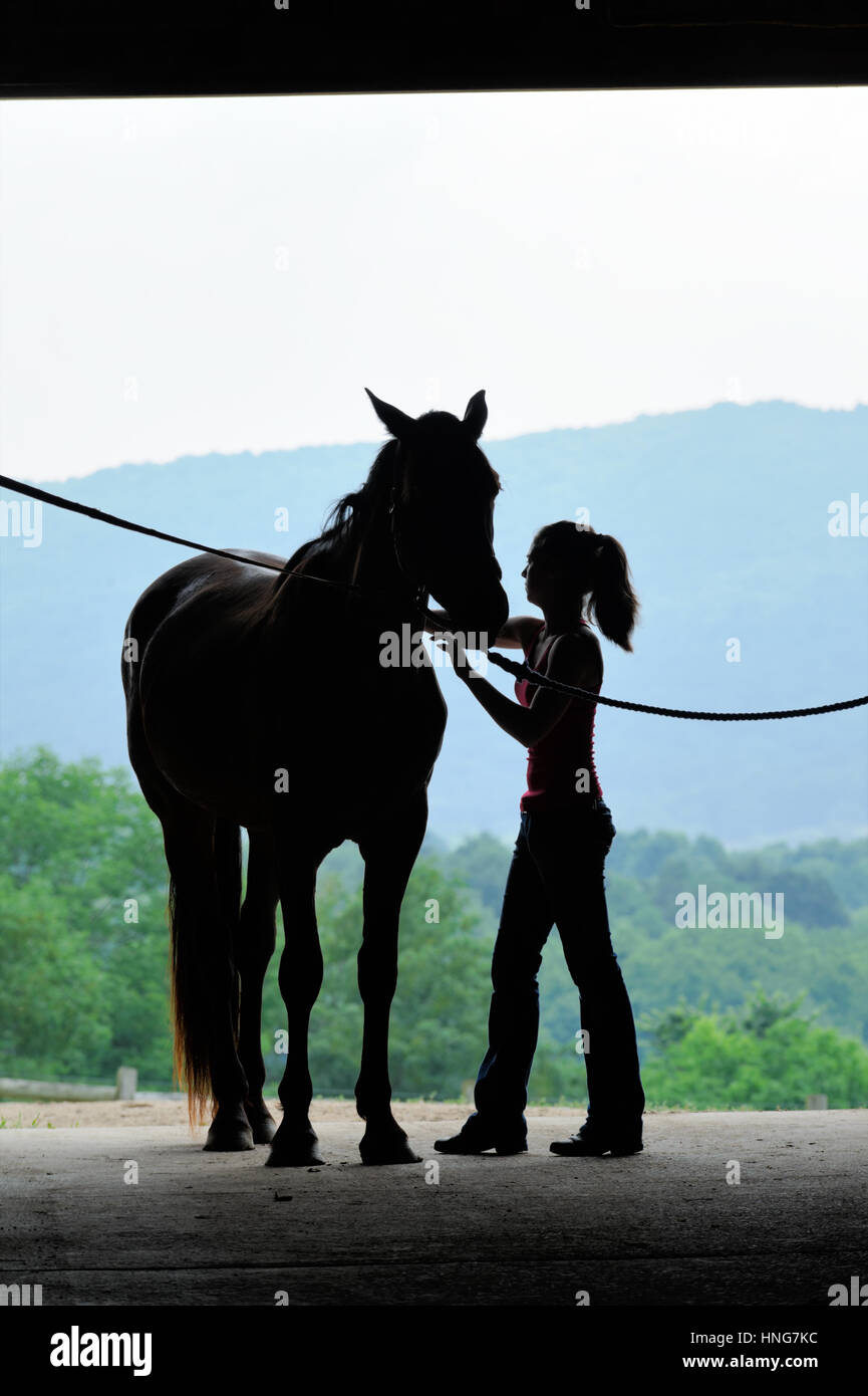 Junge Frau mit Pferd in offenen Scheunentor Silhouette, Stockfoto