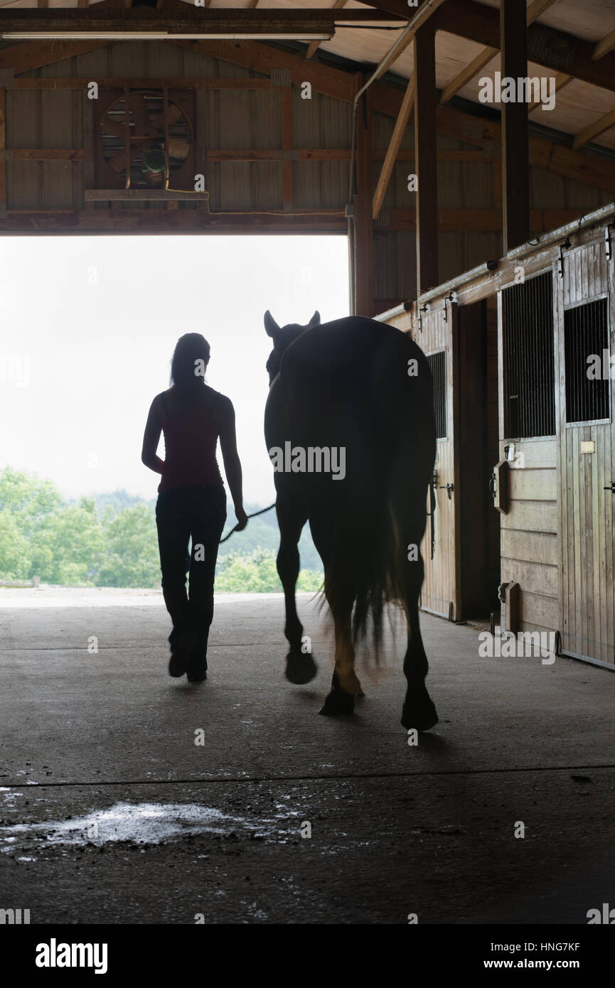 Junge Frau mit Pferd in offenen Scheunentor Silhouette zu Fuß nach außen, minimale Bewegungsunschärfe auf Zahlen. Stockfoto