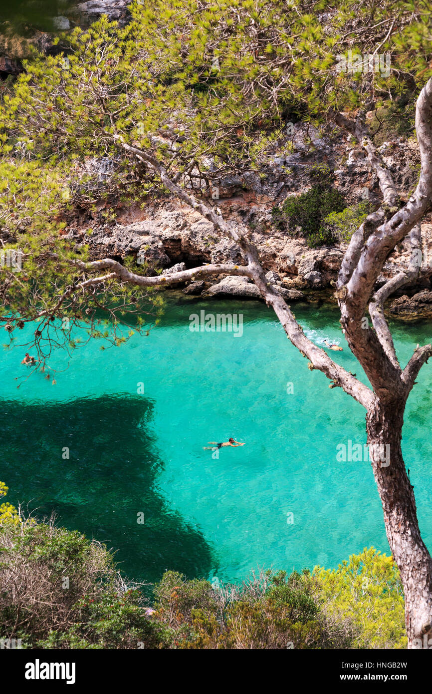 Schwimmen in der Bucht Cala Pi, Mallorca Stockfoto