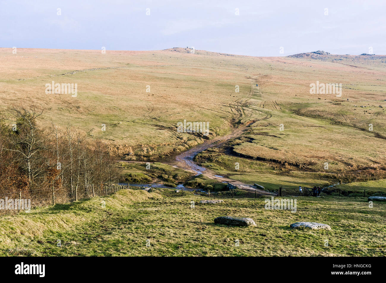 Grobe Tor, als ein Gebiet von außergewöhnlicher natürlicher Schönheit auf Bodmin Moor in Cornwall bezeichnet. Stockfoto
