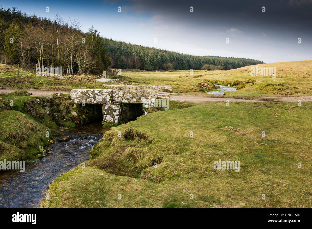 Eine kleine Granit Brücke über einen kleinen Fluss auf grobe Tor, als ein Gebiet von außergewöhnlicher natürlicher Schönheit auf Bodmin Moor in Cornwall bezeichnet. Stockfoto