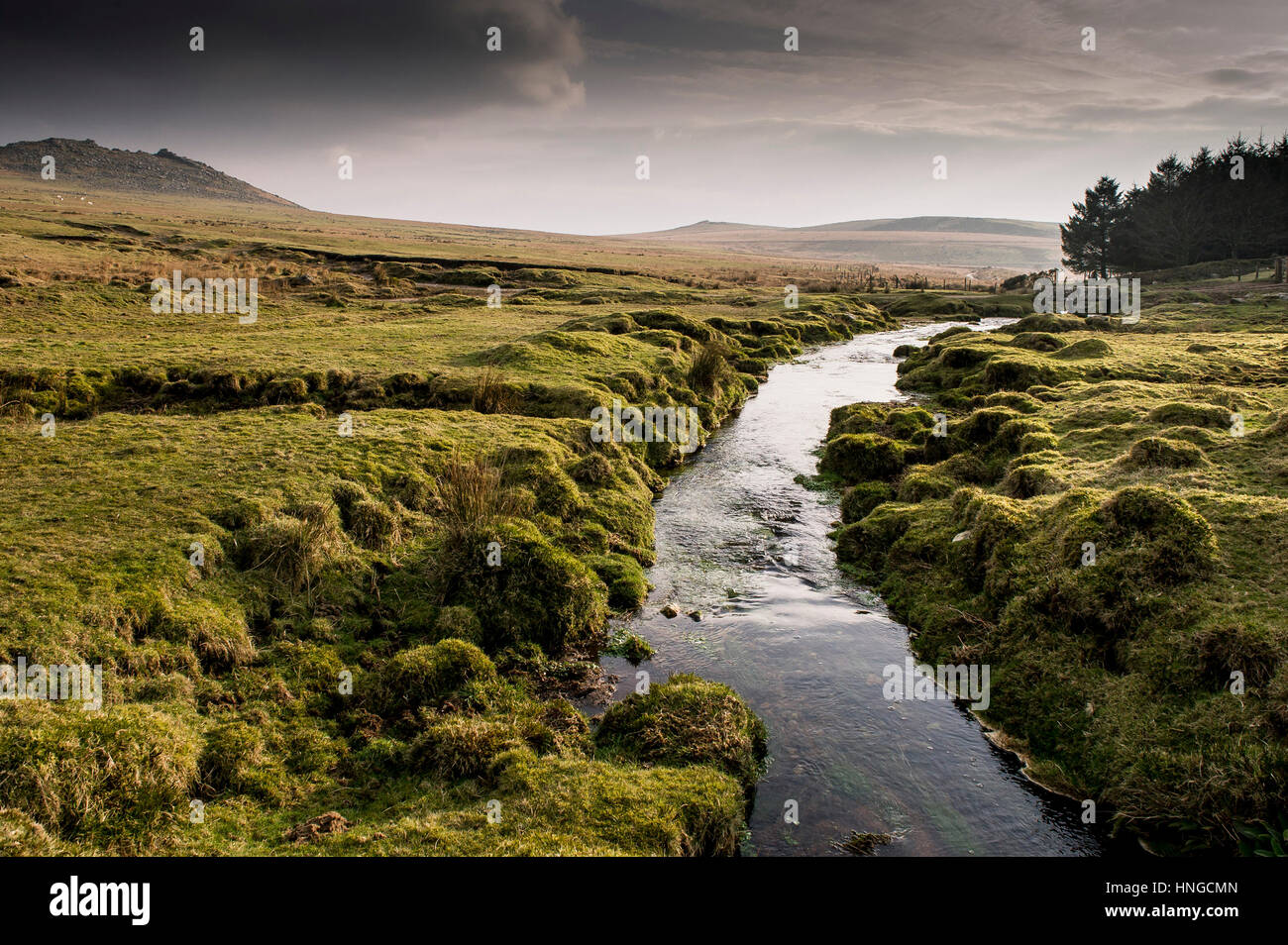 Ein kleiner Fluss läuft durch sumpfigen Boden auf grobe Tor, als ein Gebiet von außergewöhnlicher natürlicher Schönheit auf Bodmin Moor in Cornwall bezeichnet. Stockfoto