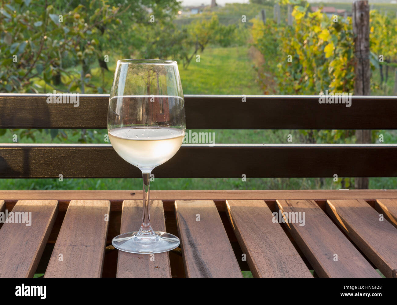 Glas Weißwein auf Holztisch mit unscharfen malerischen mediterranen Ausblick im Hintergrund. Brda Region, westlichen Slowenien. Stockfoto