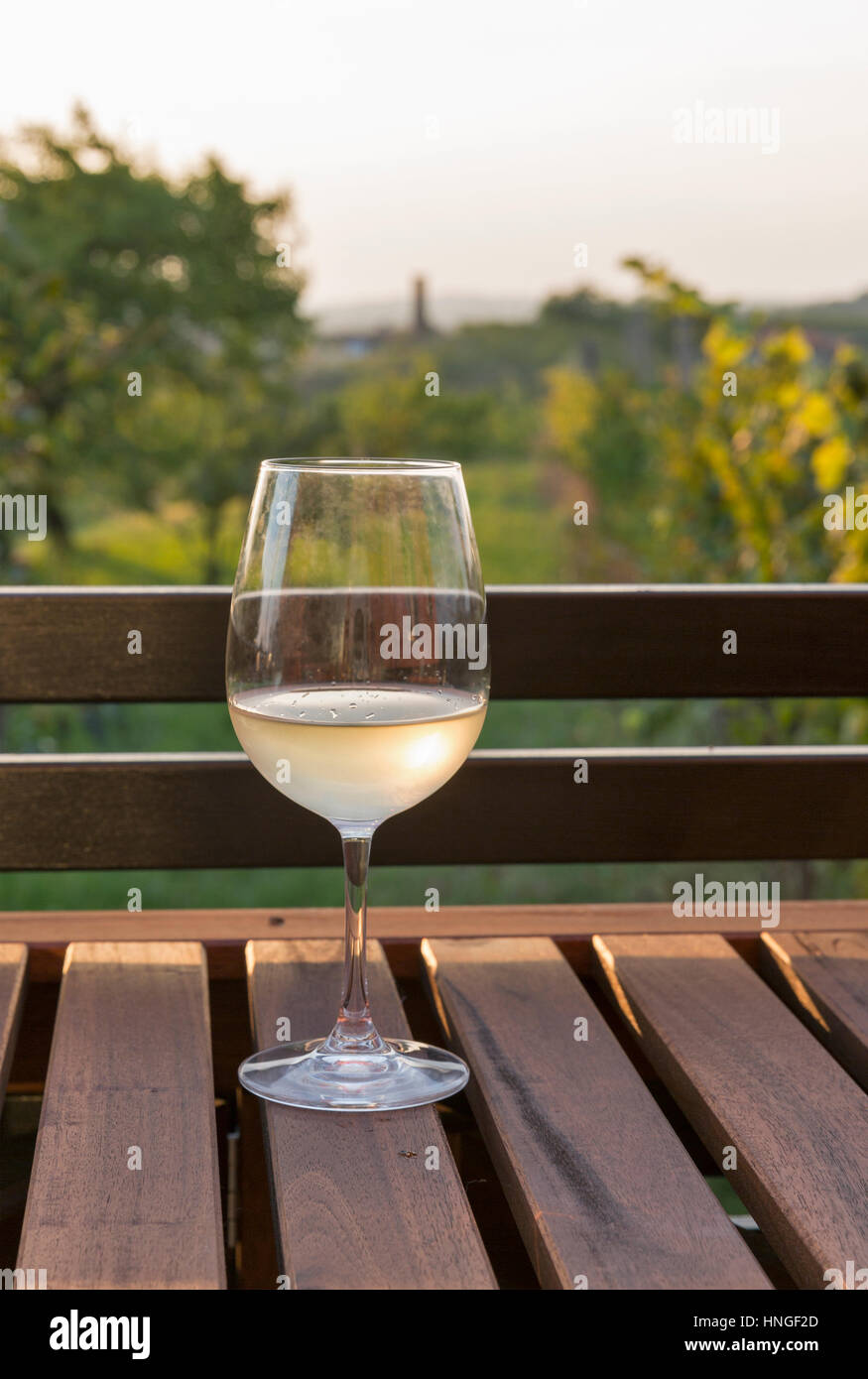 Glas Weißwein auf Holztisch mit unscharfen malerischen mediterranen Ausblick im Hintergrund. Brda Region, westlichen Slowenien. Stockfoto