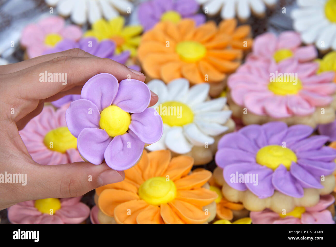 Ausgefallene hausgemachte Frühlingsblumen Zucker Cookies mit königlicher Zuckerglasur Blütenblätter auf geleitet. Hand Holding lila Blume cookie Stockfoto