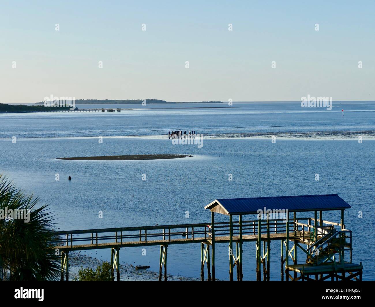 Studierende Studium der Meeresbiologie auf einer Sandbank bei Ebbe, Cedar Key, Florida, USA Stockfoto