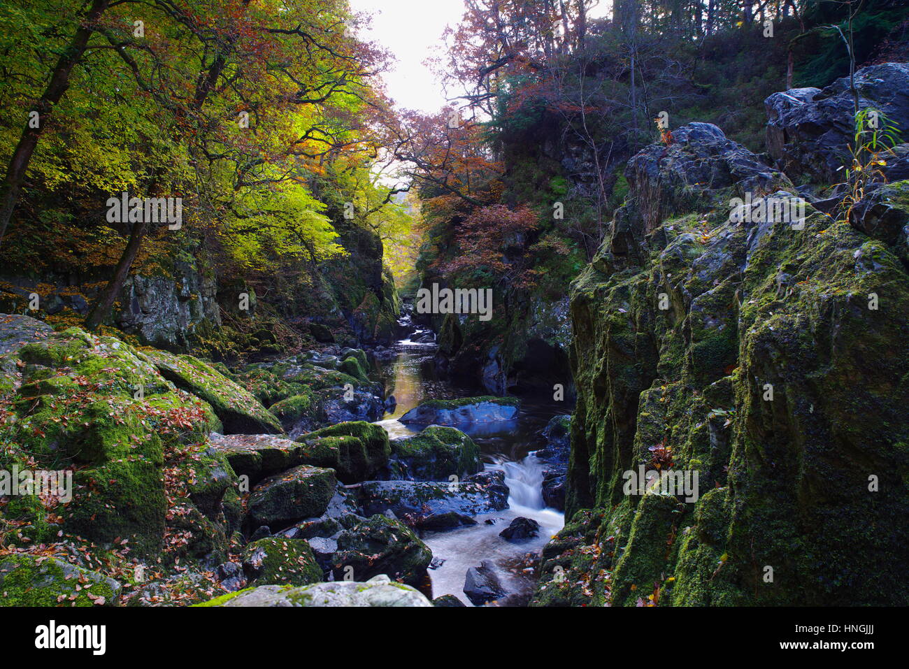 Fairy Glen, Betws y Coed, North Wales, Vereinigtes Königreich, Stockfoto