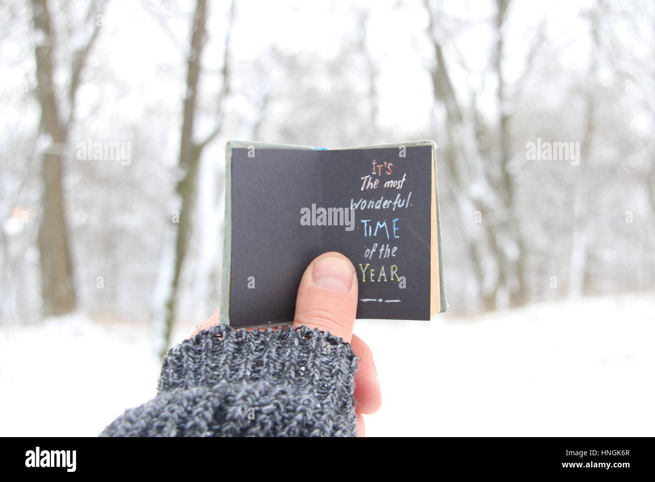 Es ist die schönste Zeit des Jahres. Buchen Sie mit Inschrift. Zitat über Wintersaison Stockfoto