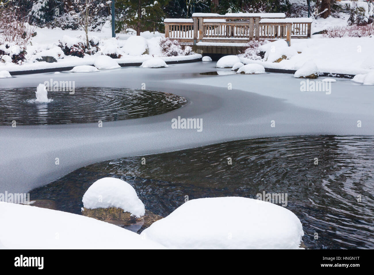 Brunnen-Teich im Winter mit Schnee Stockfoto