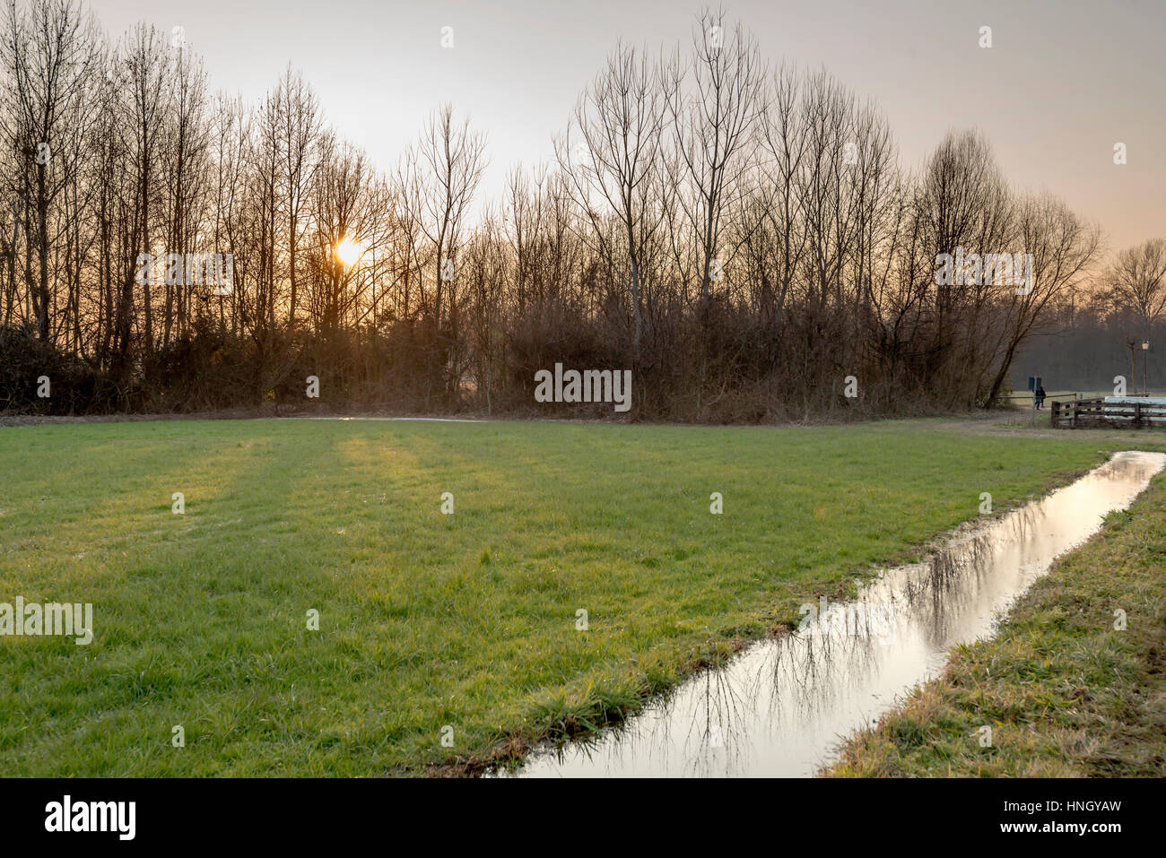 Landschaft bei Sonnenuntergang mit Eiswasser in grüner Winter Felder reflektieren blaue Himmel, geschossen im hellen Winter Licht in der Nähe von Morimondo, Lombardei, Italien Stockfoto