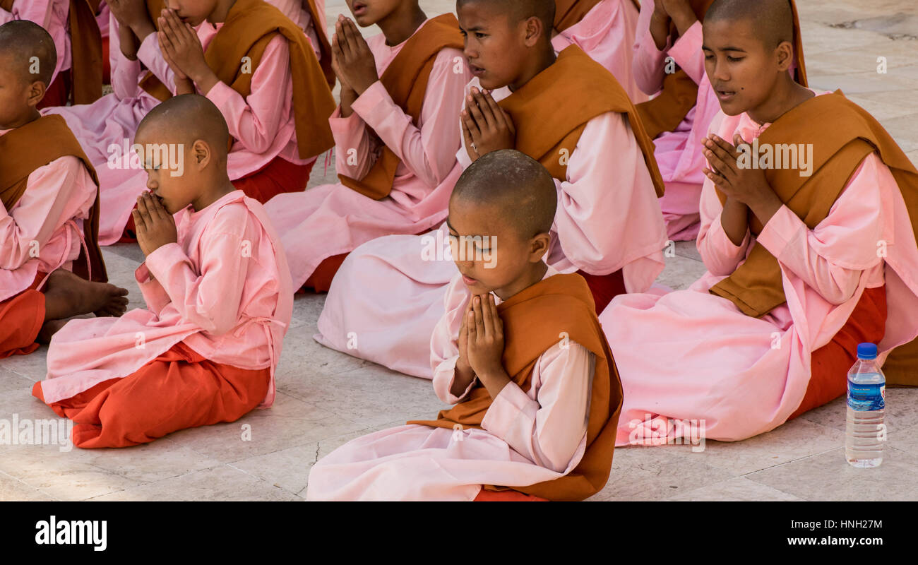 Junge buddhistische Nonnen in unverwechselbaren rosa Roben und in ernsthaftem Gebet an der Shwedagon-Pagode in Yangon, Myanmar Stockfoto
