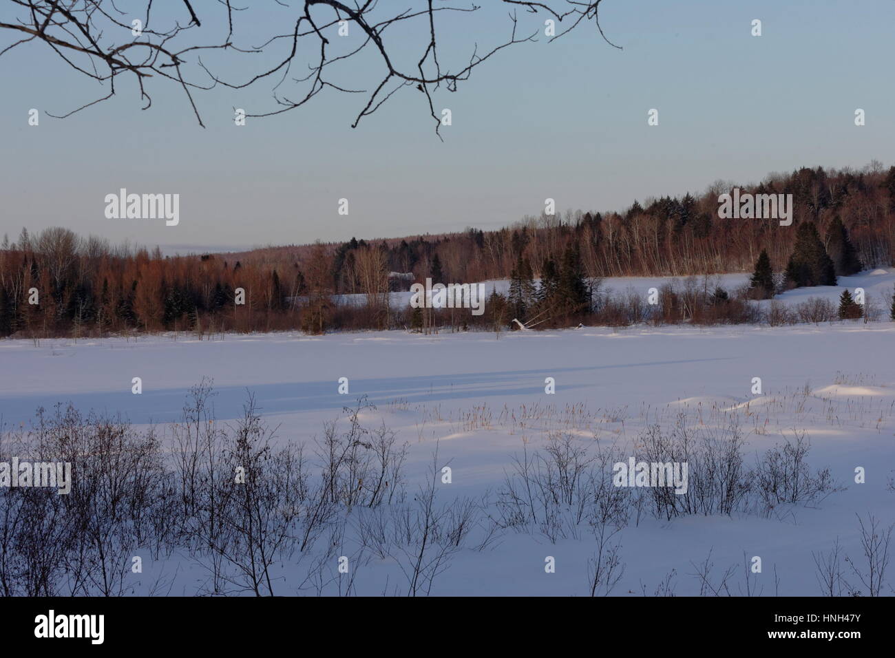 Winternachmittag Stockfoto