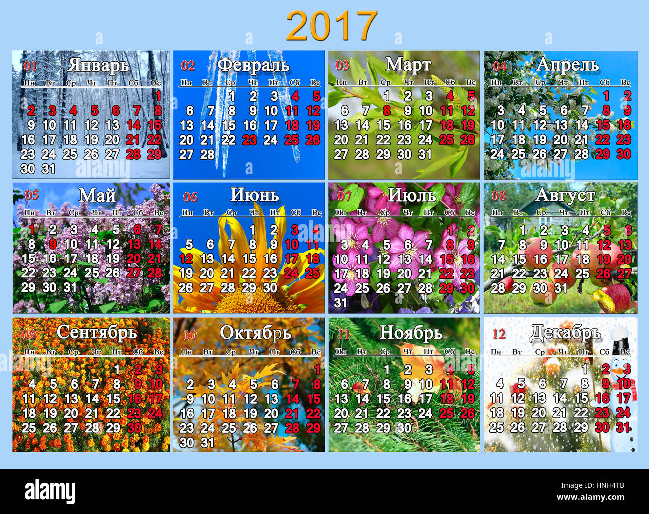 Kalender für das Jahr 2017 in russischer Sprache mit Foto der Natur für jeden Monat Stockfoto