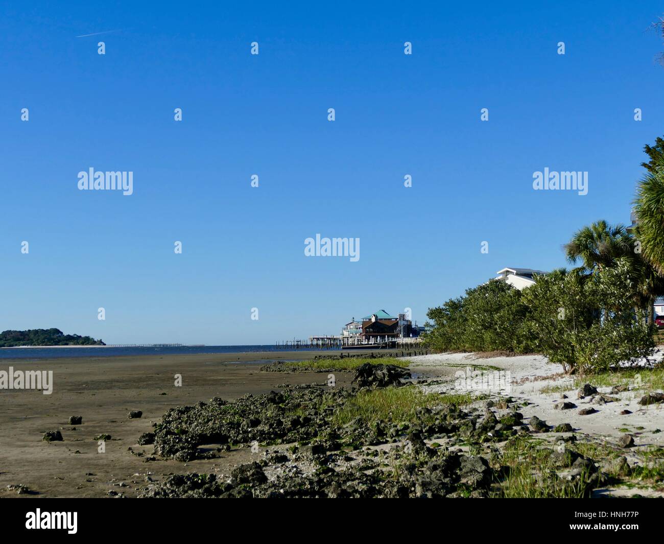 Ebbe in Cedar Key, Florida, USA Stockfoto