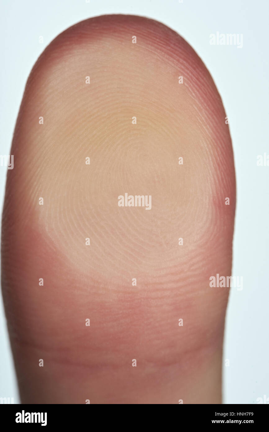 Bungalow auf der Linien auf Fingerabdruck isoliert auf weiss Stockfoto