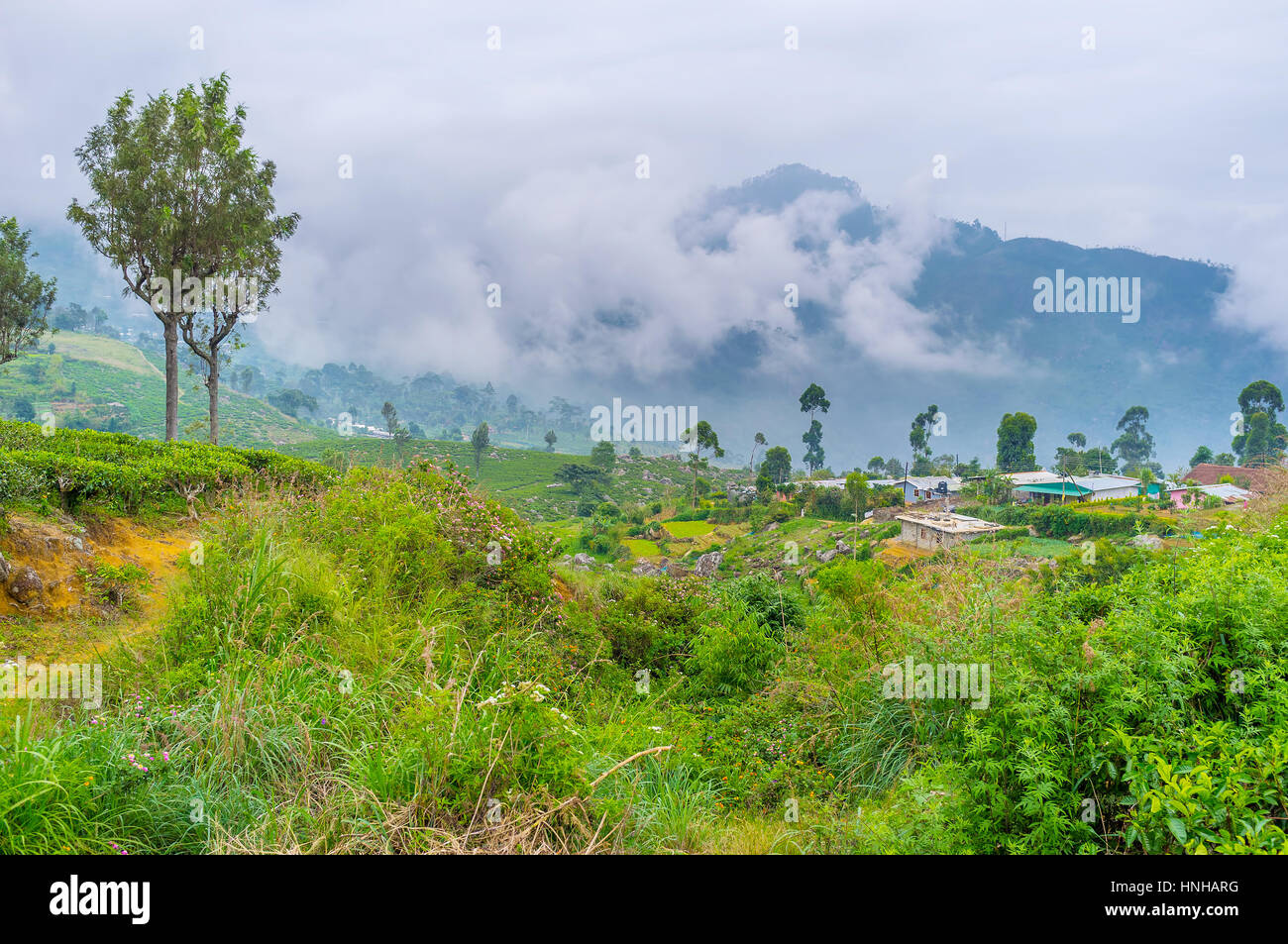Die ländliche Szene mit kleinen Dorf und die Berge im Nebel auf dem Hintergrund Haputale, Sri Lanka Stockfoto