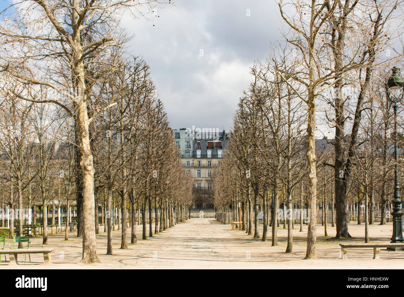 Jardin des Tuilleries, Paris, Frankreich, Europa Stockfoto