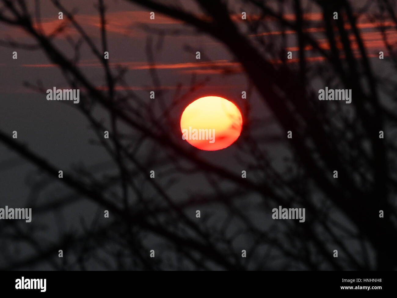 Berlin, Deutschland. 13. Februar 2017. Blick auf den Sonnenaufgang in Berlin, Deutschland, 13. Februar 2017. Foto: Paul Zinken/Dpa/Alamy Live News Stockfoto