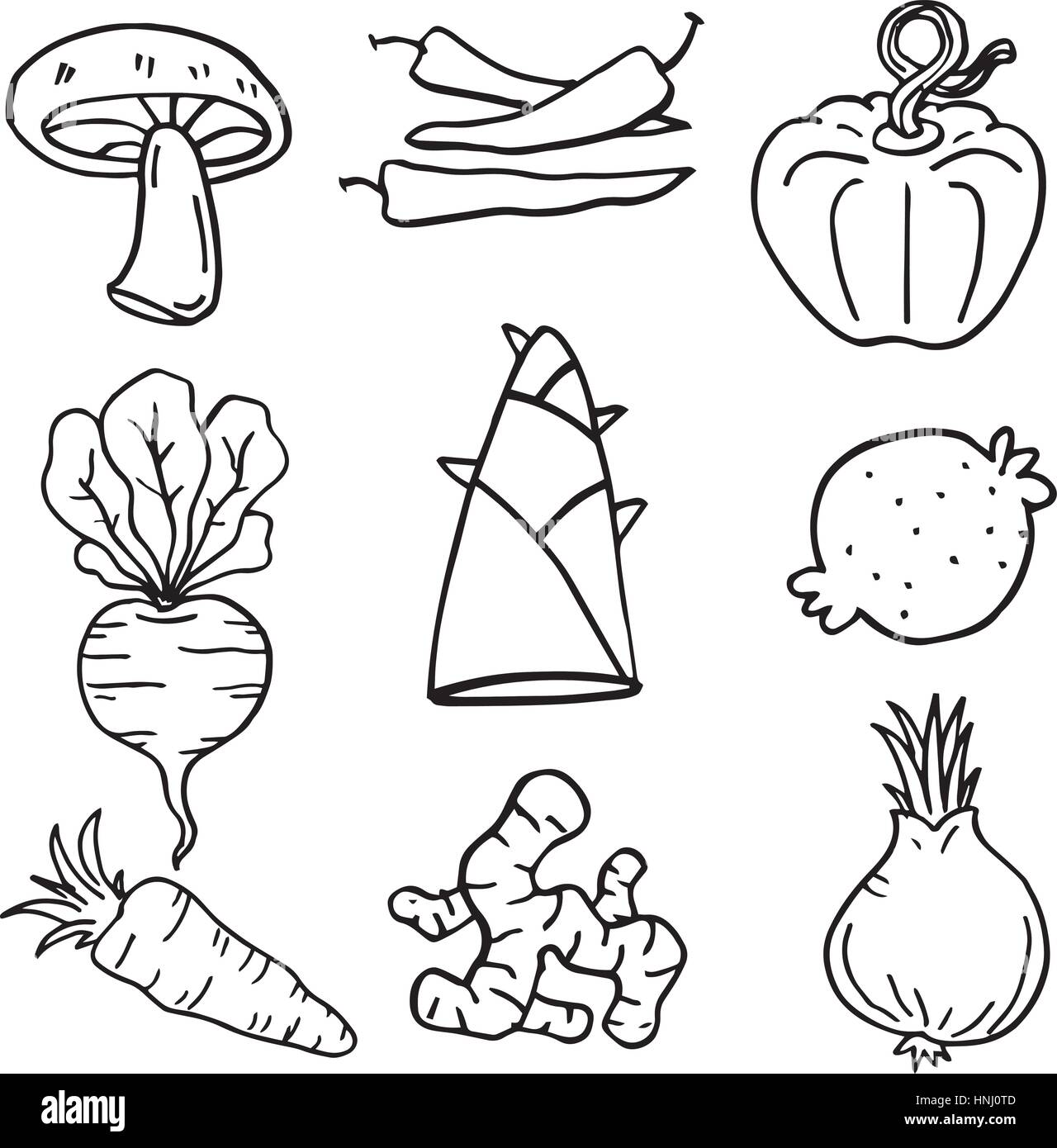 Doodle Gemüse Vektor Kunst Abbildung Hand zeichnen Stock-Vektorgrafik -  Alamy