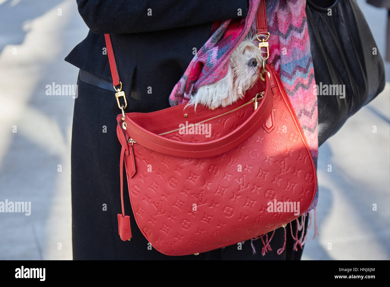 Frau mit Hund in rote rote Louis Vuitton Tasche vor Giorgio Armani-Modenschau, Milan Fashion Week Streetstyle am Januar Stockfoto
