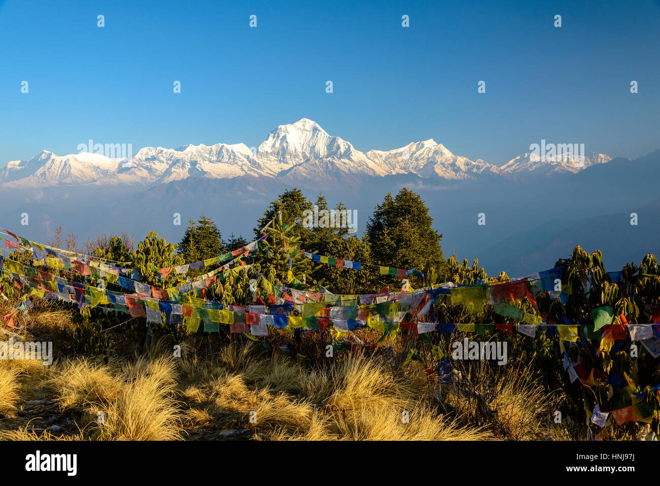 Annapurna-Gipfel mit Blick vom Poonhill, tibetische betenden Fahnen in der Front, Nepal Stockfoto