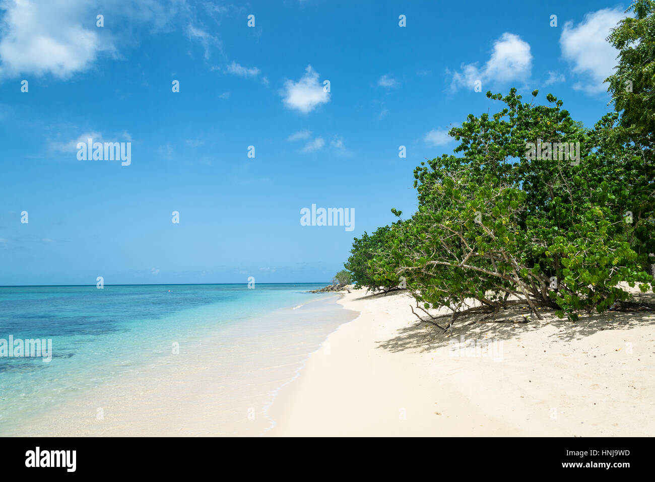 Strand "La Plage du Souffleur" in Port Louis, Guadeloupe Stockfoto