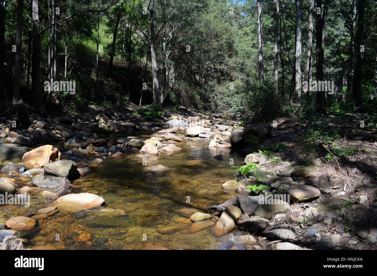 Wunderschönen Fluss in den australischen Busch an einem heißen Sommertag Stockfoto