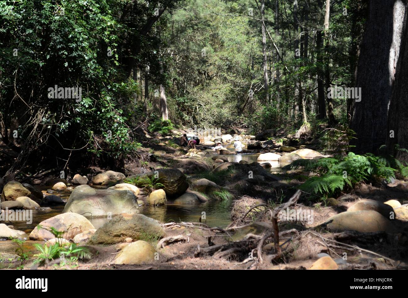 Blick auf vorgelagerten australischen Buschland Fluss Stockfoto