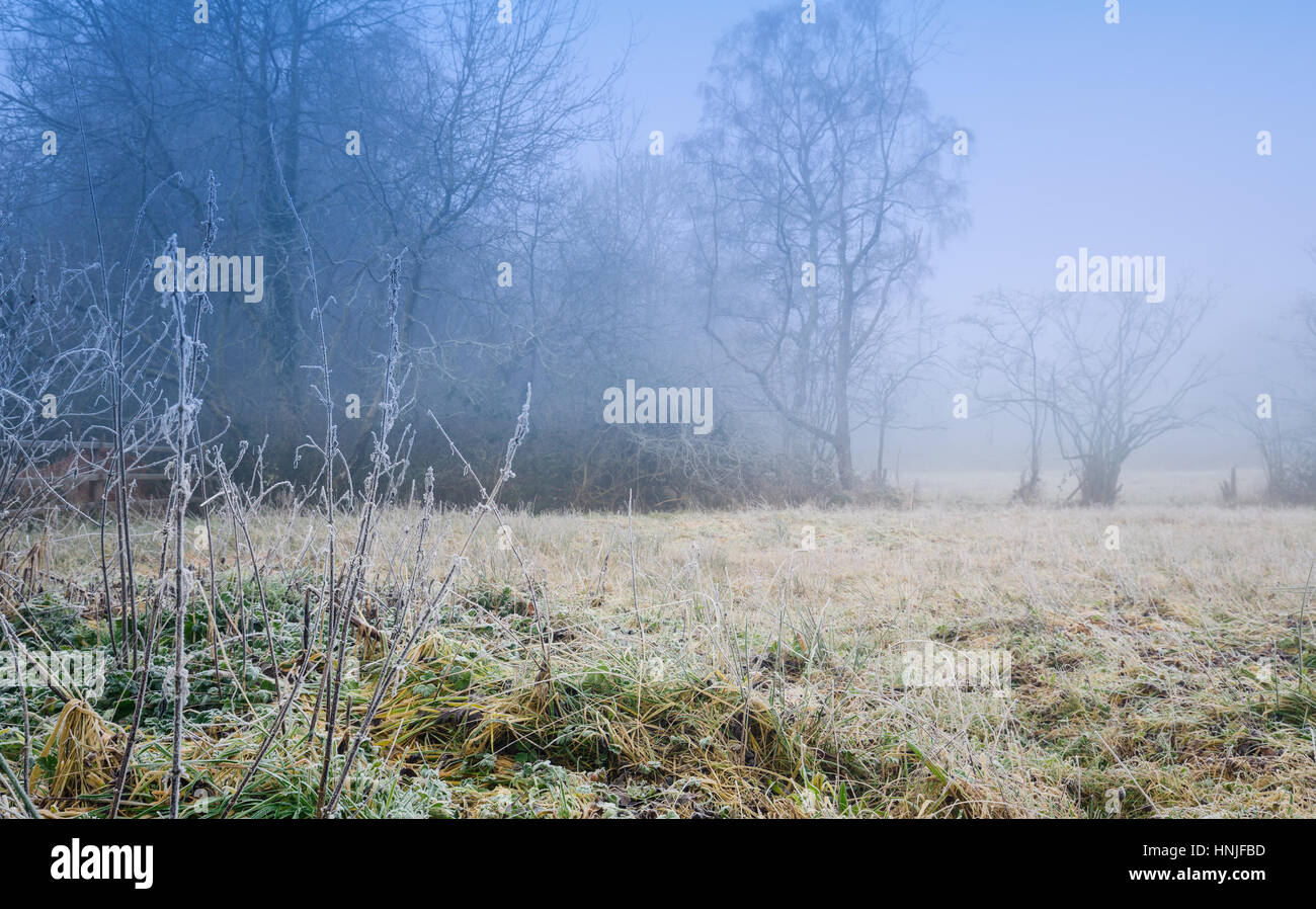 Neblig winterlichen Morgen in britische Landschaft Stockfoto