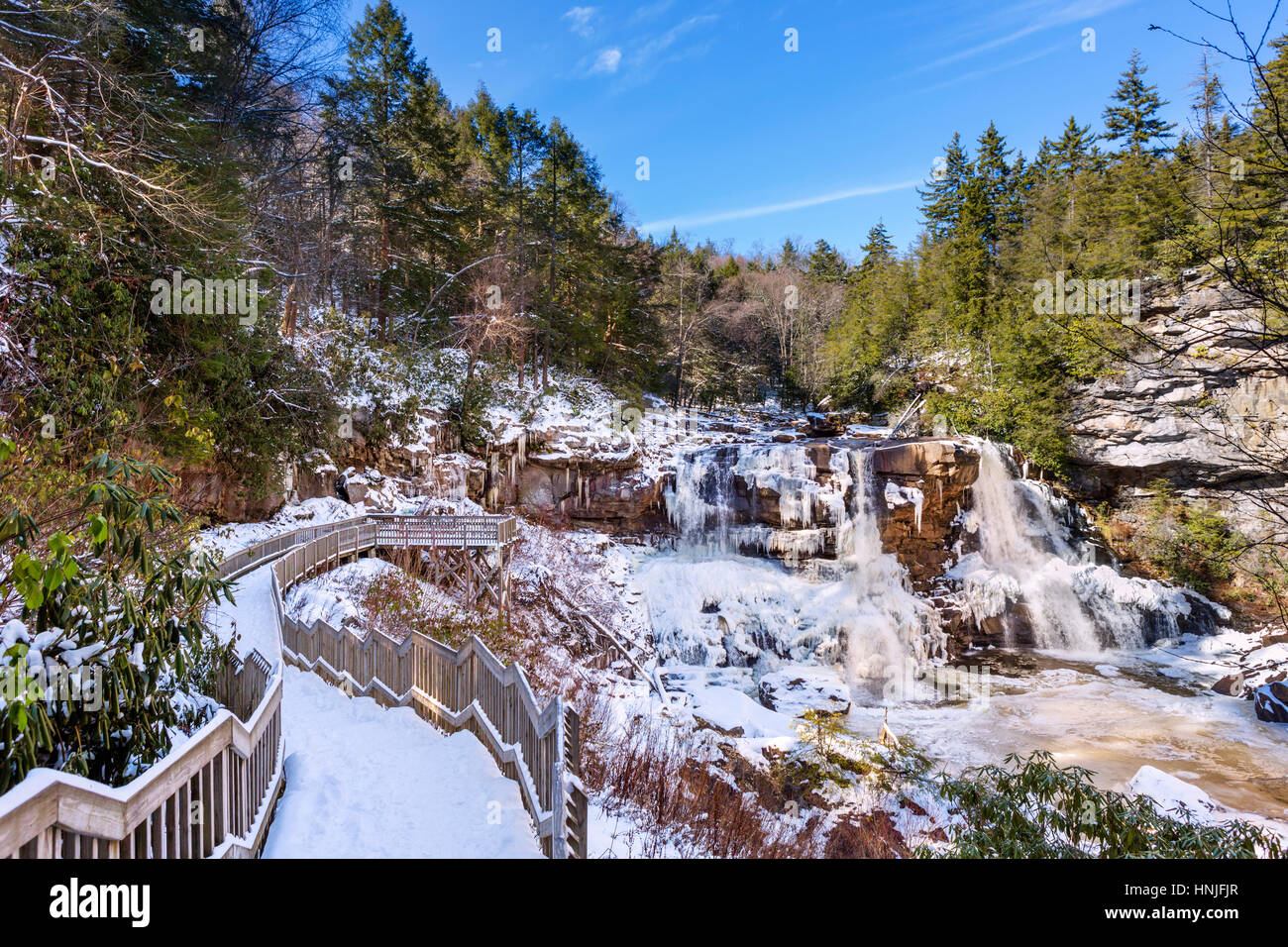 Blackwater fällt, Blackwater Falls State Park, Allegheny Mountains, West Virginia, USA Stockfoto