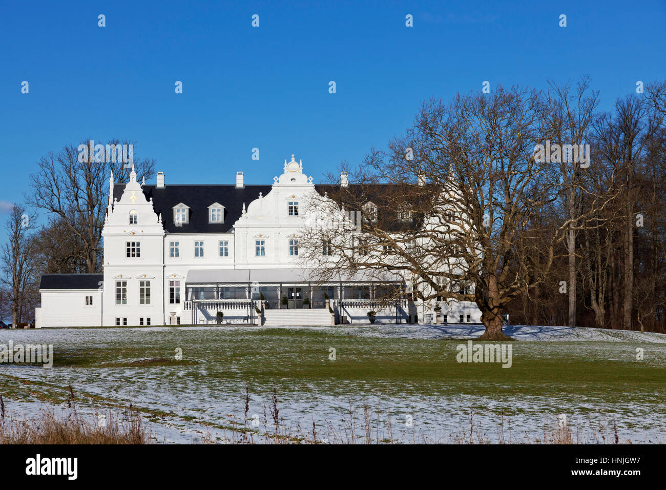 Kokkedal Schloss Kopenhagen, eine luxuriöse Schlosshotel in Winterlandschaft, einen großen, alten blattlosen Baum vor. Kokkedal zwischen Kopenhagen und Elsinore Stockfoto