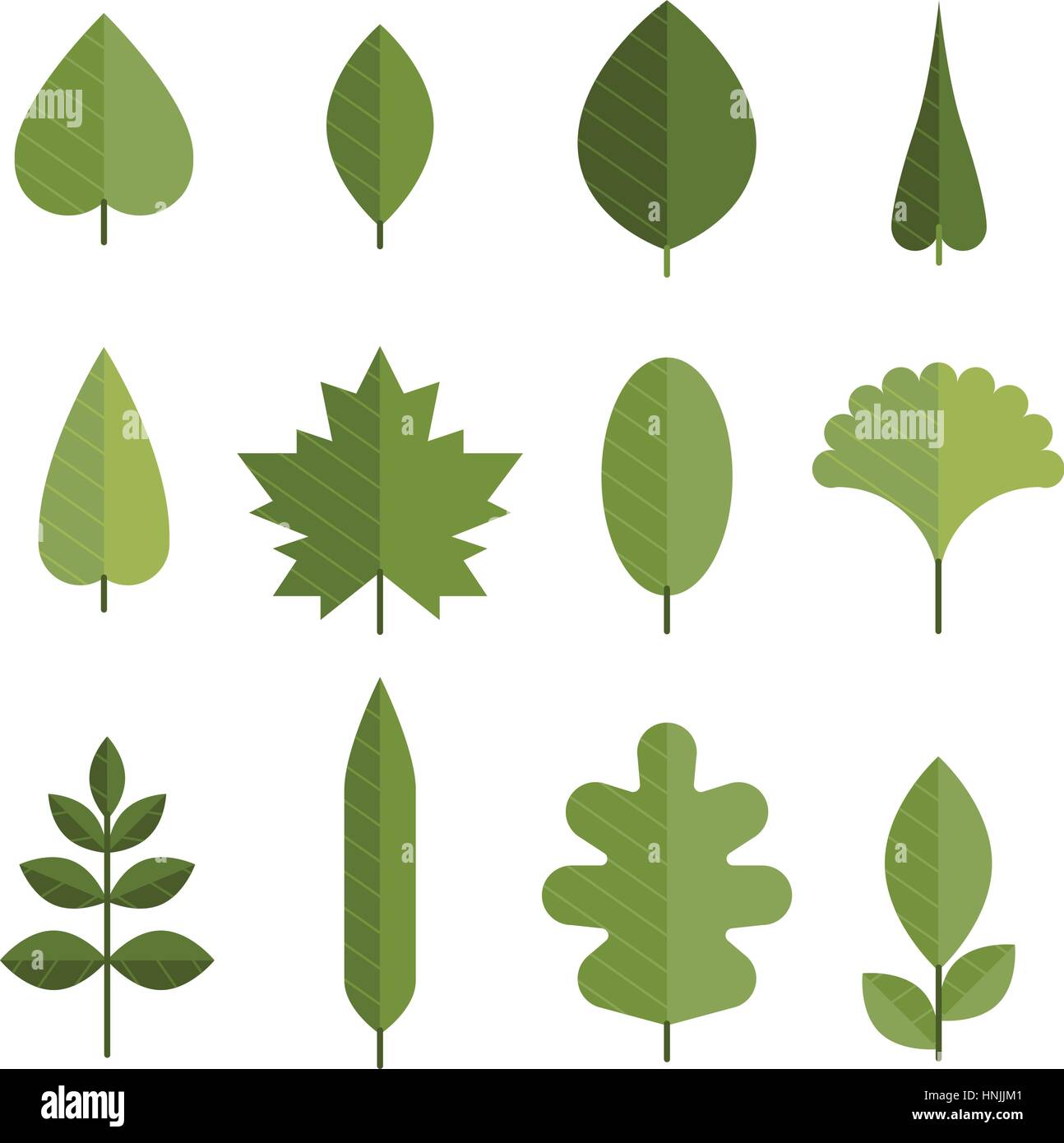 Satz von flachen grünen Blättern. Verschiedene Arten der jungen Blätter von den Bäumen. Gestaltungselement für Logo, Web oder Print. Moderne Vektor-Illustration. Stock Vektor