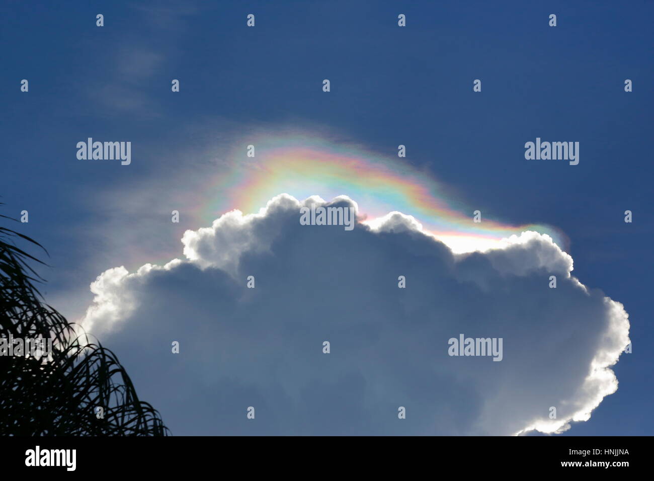 Eiskristalle, die von der Sonne über eine Kumuluswolke beleuchtet. Stockfoto