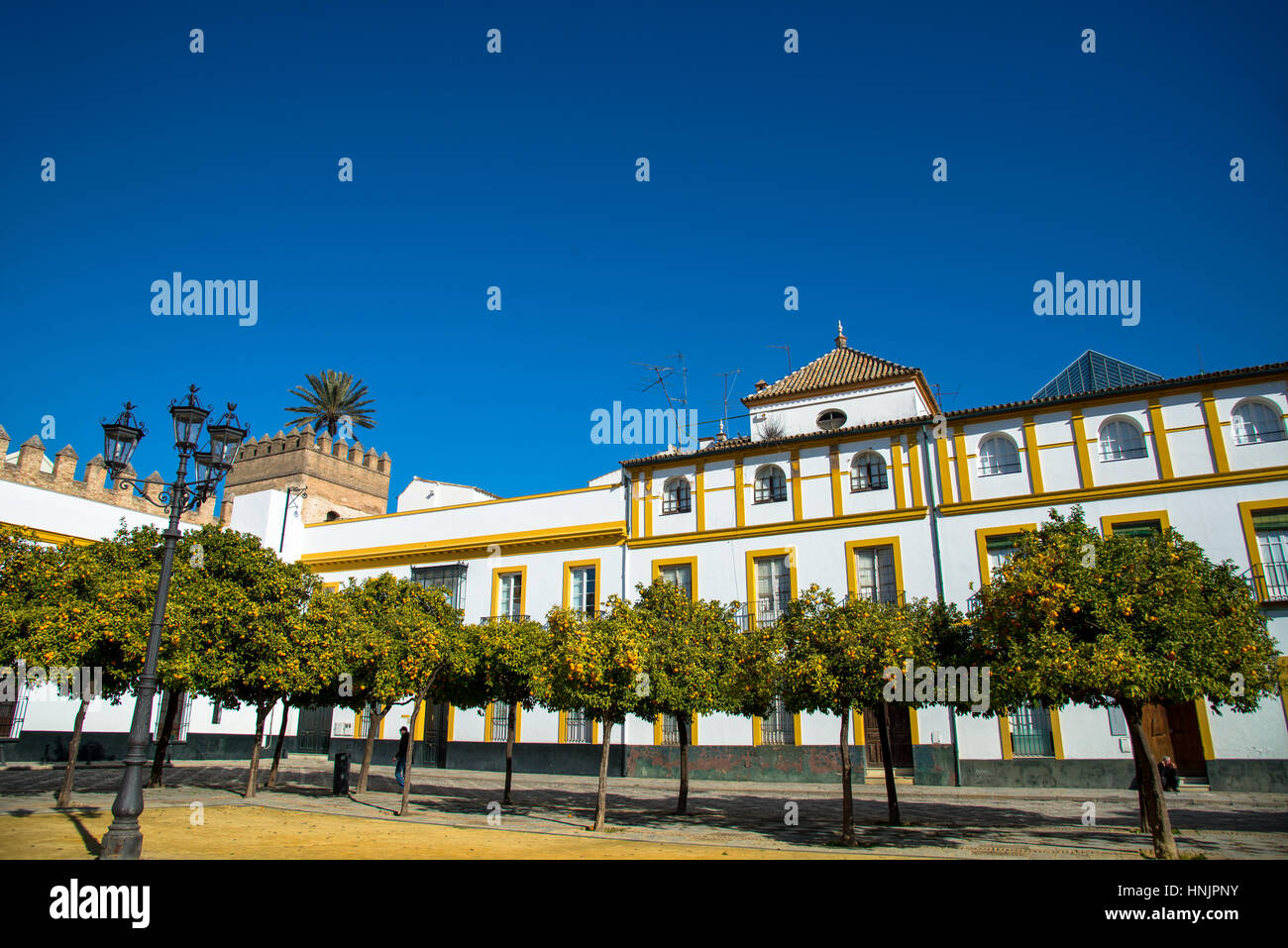 Orangenbaum-Hof in der Nähe von Giralda Kathedrale in Sevilla, Spanien Stockfoto