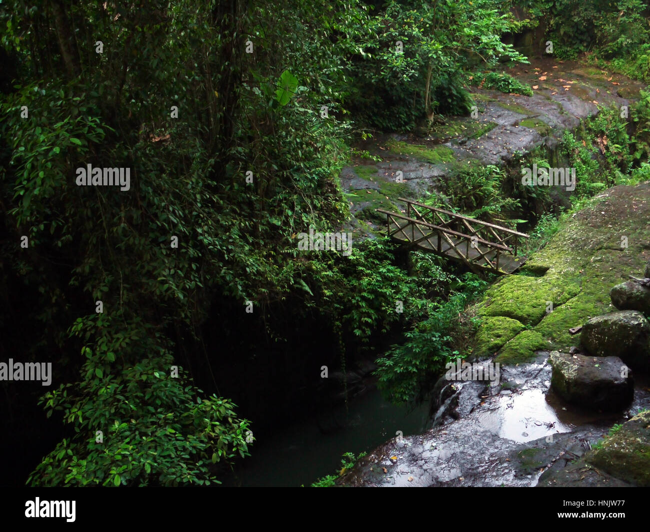 Kleine hölzerne Brücke über einen Fluss in einer Schlucht im Dschungel. Bali, Indonesien Stockfoto