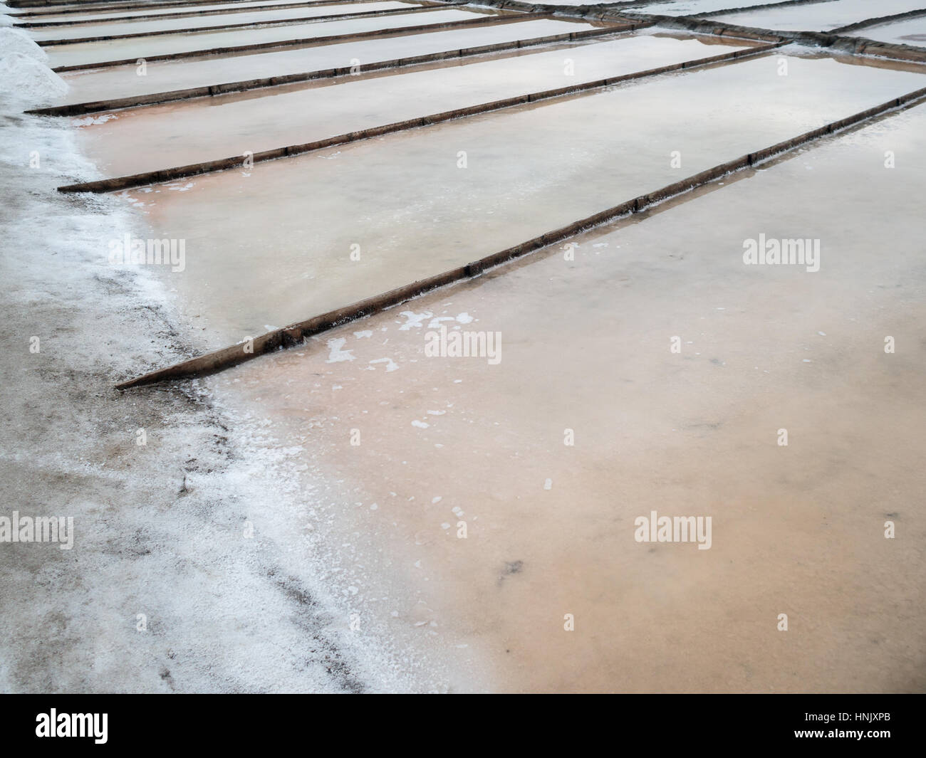 Salz Scheiben in der Nähe von Aveiro. Stockfoto