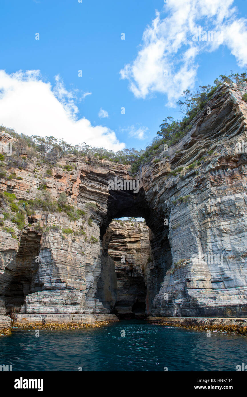 Höhlen entlang der Küste der Tasman Halbinsel in Tasmanien. Stockfoto