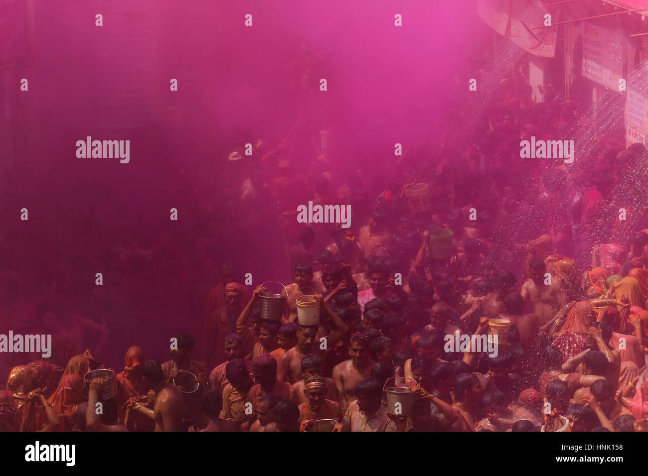 Farbiges Pulver auf die Menge zu verbreiten. Huranga Festival, Dauji Tempel, Baldeo, Mathura, Uttar Pradesh, Indien Stockfoto