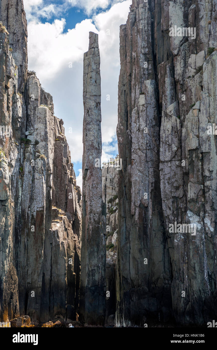 Die Totem Pole, ein dolerit Pol des Rock, als auf Pennicott der Wüste Reise Kreuzfahrt entlang der Küste der Tasman Halbinsel in Tasmanien gesehen Stockfoto