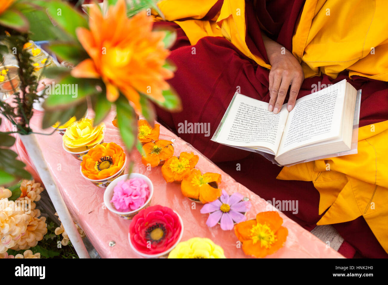 Tibetisch-buddhistische Nonne betet und gibt Blumen als Opfergaben während einer Zeremonie in Tagong Kloster in Tibet-Plateau, Sichuan, China Stockfoto
