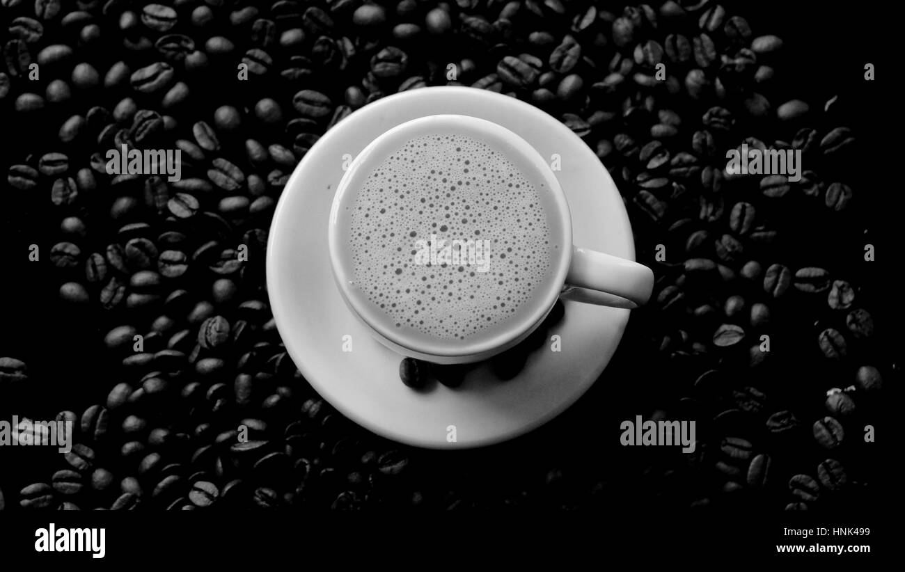 Tasse Kaffee / Kaffee ist ein gebrautes Getränk aus gerösteten Kaffeebohnen, der die Samen der Beeren aus der Kaffeepflanze sind vorbereitet. Stockfoto